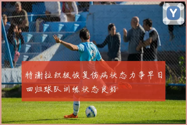 特谢拉积极恢复伤病状态力争早日回归球队训练状态良好